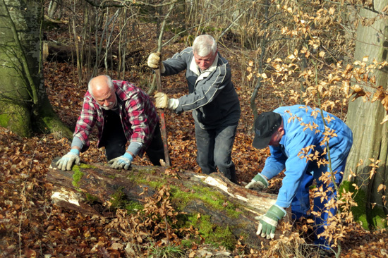 Arbeitsgruppe